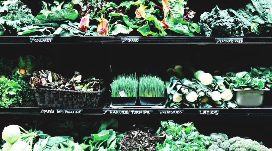 Spring Essentials: Waking Up