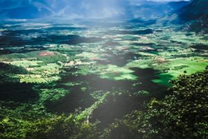 Kitchari, The Healer of India