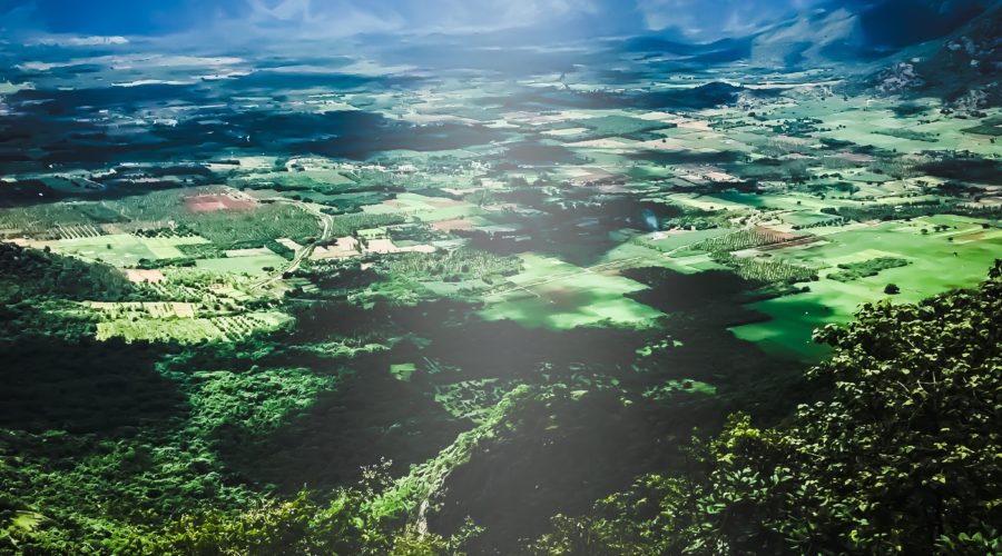 Kitchari, The Healer of India