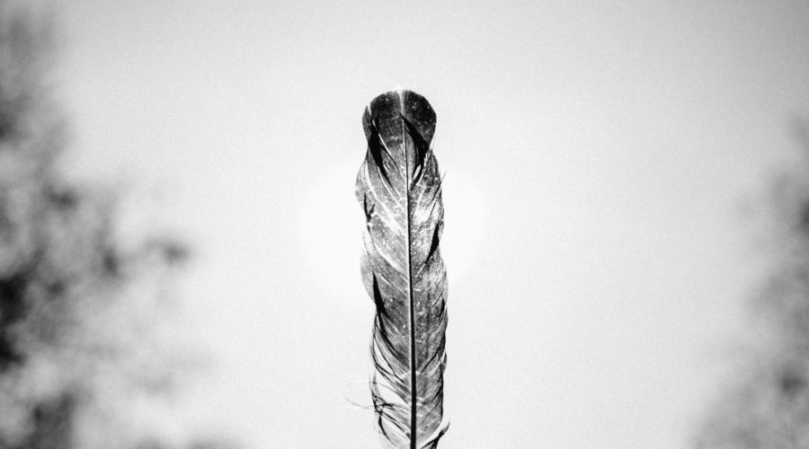 Feather